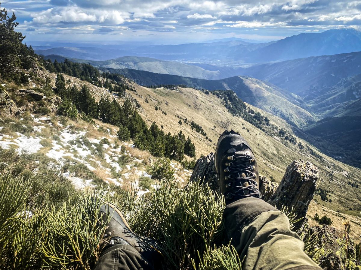 Séjours de chasse à l approche du Cerf dans les Pyrénées