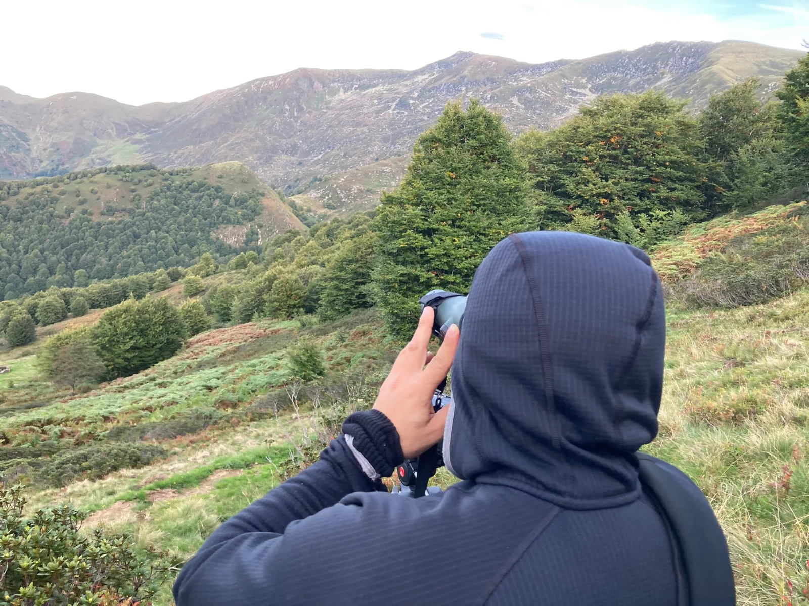 Voyages de chasse en France
Chasse à l’approche sur territoires ouverts dans les Pyrénées et le Sud-ouest