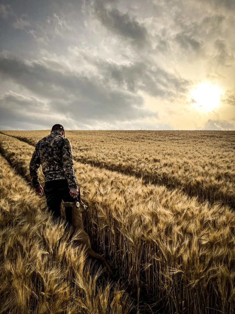 Une figure solitaire marchant à travers un champ de blé doré sous un ciel dramatique, capturant un moment de tranquillité et de connexion avec la nature.