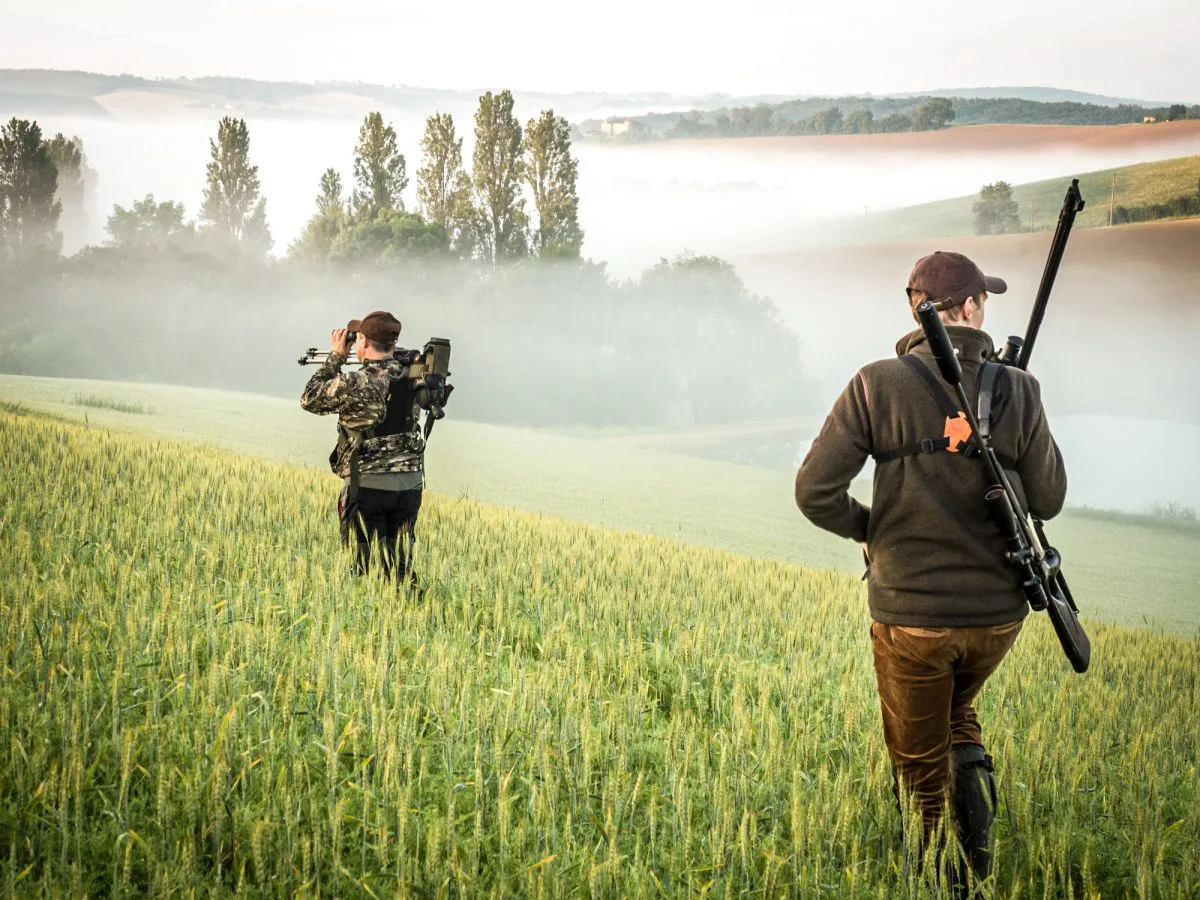 Deux chasseurs en tenue de camouflage marchant dans un champ vert et brumeux à l'aube, portant leurs fusils et leur équipement de chasse.