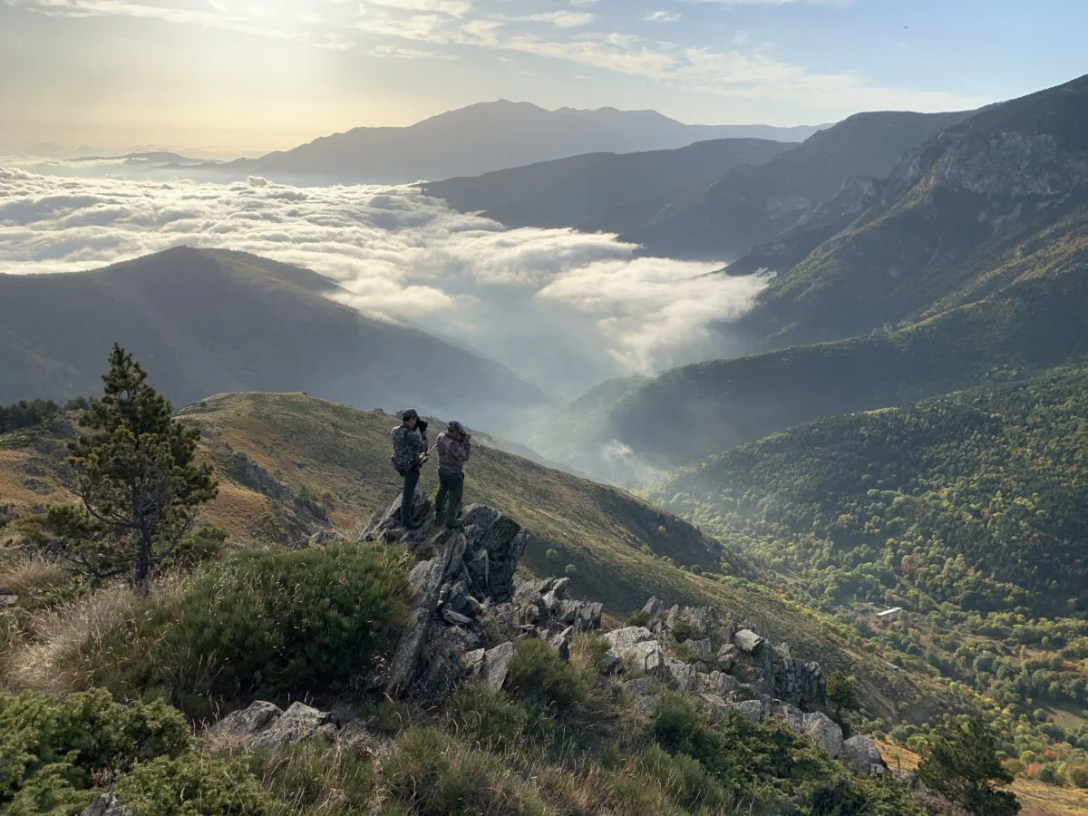 Voyages de chasse en France
Chasse à l’approche sur territoires ouverts dans les Pyrénées et le Sud-ouest