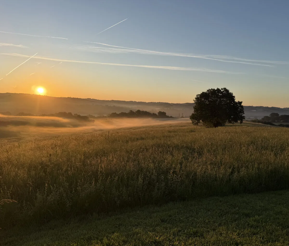Voyages de chasse en France
Chasse à l’approche sur territoires ouverts dans les Pyrénées et le Sud-ouest