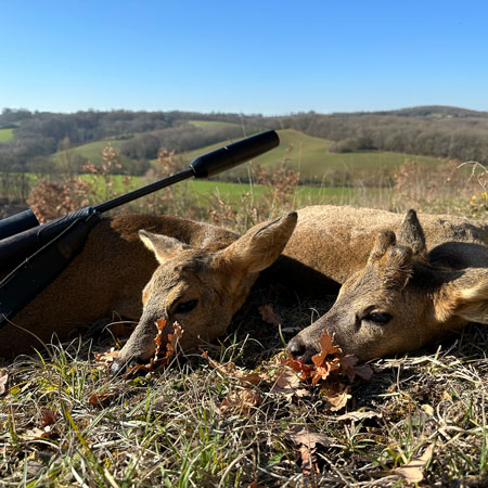 Chasse du chevreuil dans le gers